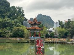 -靖西鹅泉风景区
