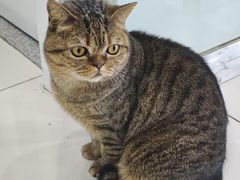 -纳吉亚猫专科动物医院博雅分院