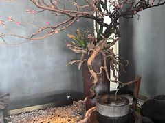 -长安·雅致观景餐厅