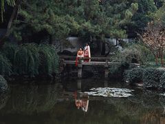 -秋霞圃