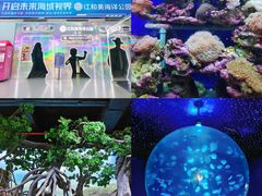 -江和美海洋公园