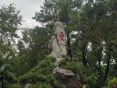 -东湖落雁景区