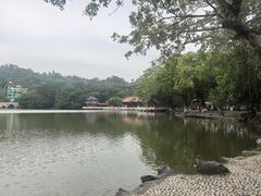 -珠海圆明新园