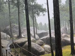 -玉苍山国家森林公园