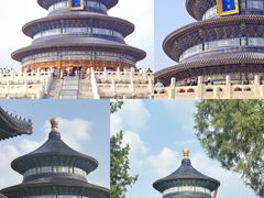 -首都医科大学附属北京天坛医院