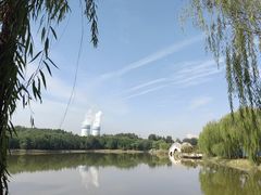 -塘沽森林公园