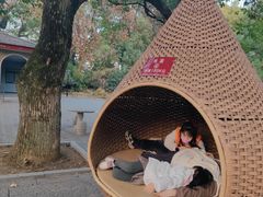 -东湖落雁景区