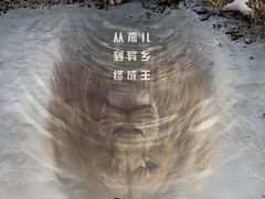 -百丽宫影城(ifc商场店)