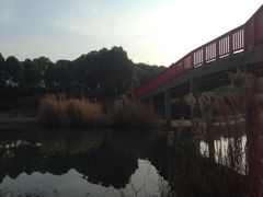 iphone_upload_pic-美兰湖景区