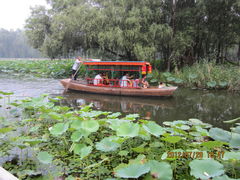 -紫竹院公园冰场