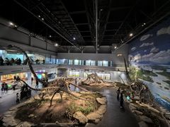 -自贡恐龙博物馆