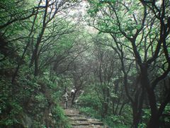 -阳台山自然风景区