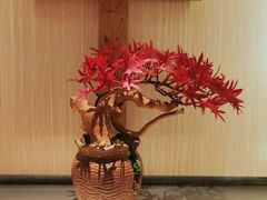 -长崎屋·日本料理·刺身·烧鸟(天河北路店)
