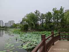 -海天湖公园