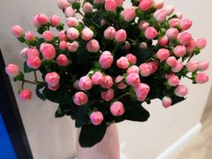 -三圣花乡旅游区