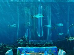 -海棠湾洲际-涛·海底餐厅·美人鱼·自助餐·海底隧道