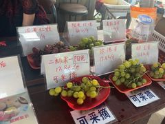 -马陆小张葡萄园农家乐