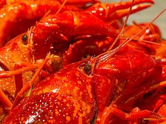 -肥肥虾庄·金牌油焖大虾(首义路店)