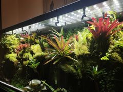 -锦色烤鸭·本地菜(学院路店)