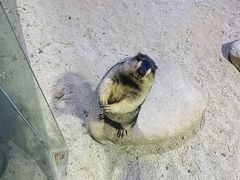 -常州海昌海洋探索馆