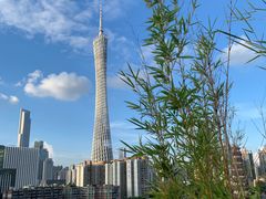 -小茶闲舍·观景商务茶馆(广州塔店)