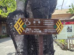-海南槟榔谷黎苗文化旅游区