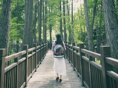 -东湖落雁景区