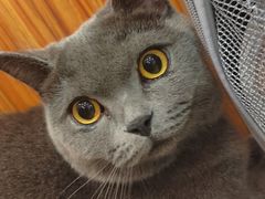 -宠颐生汉谟拉比宠物医院