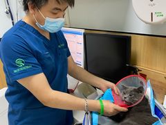 -瑞派长江宠物医院·猫科·外科·24小时夜护(谊城公寓分院)