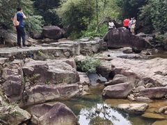 -广州白江湖森林公园