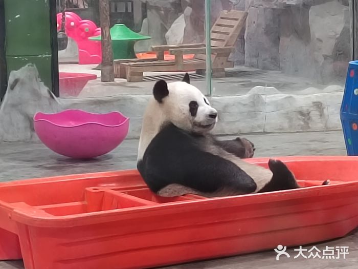栾川竹海野生动物园图片