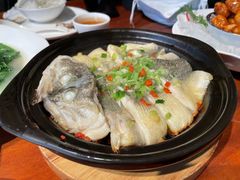 -点都德·毕德寮