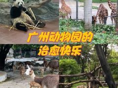 -广州动物园