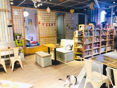 大堂-小时光咖啡馆(开森度假森林店)