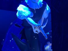 -交通银行前滩31演艺中心