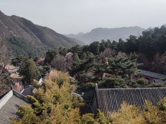 -潭柘寺景区