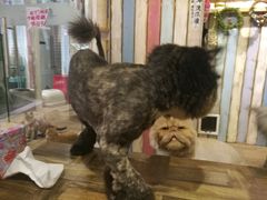 -小时光咖啡馆(开森度假森林店)