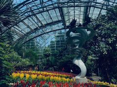 -南山植物园