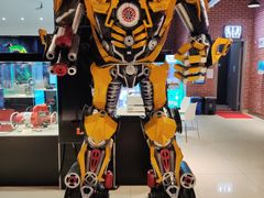 -华美国际影城(旧宫永辉店)