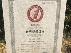 -千年银杏谷文化旅游区