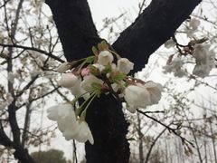 -南京邮电大学(仙林校区)