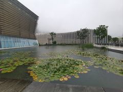 -中国宣纸文化园
