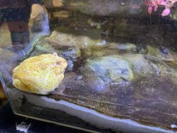 -酷嗒动物文化乐园(cutezoo西溪乐天城店)