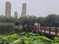 -前关湿地公园
