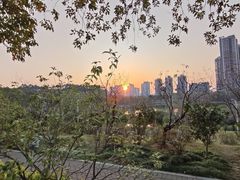 -广东花都湖国家湿地公园