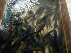 -红旗山庄(圭峰山店)