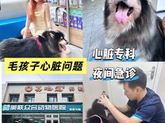 -美联众合爱康动物医院•复杂内科•肿瘤科•牙科•腔镜诊疗中心