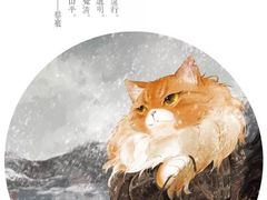 -九锅一堂酸菜鱼(新南凯德直营店)