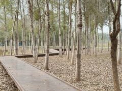 -东郊湿地公园