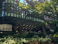-香港大学